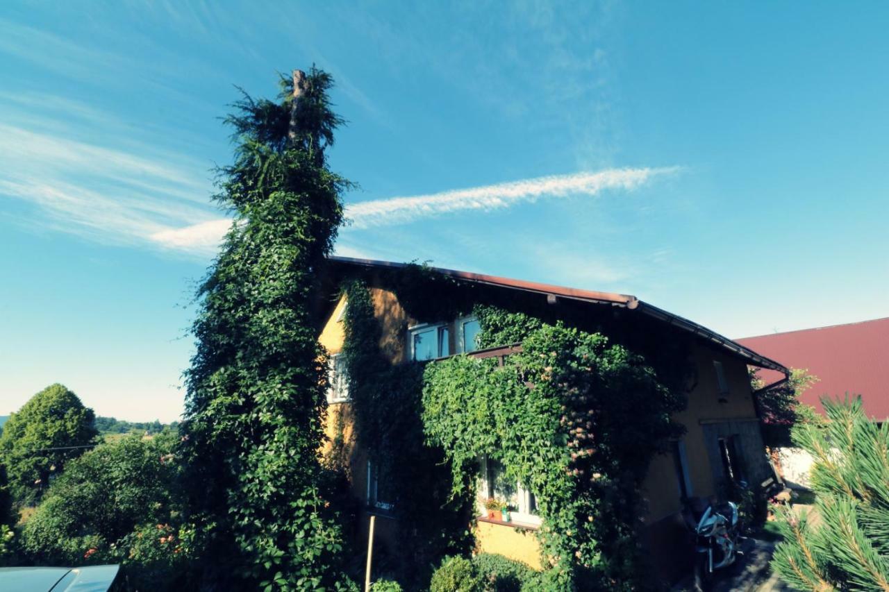 Koniaków Agroturystyka Tyniok מראה חיצוני תמונה